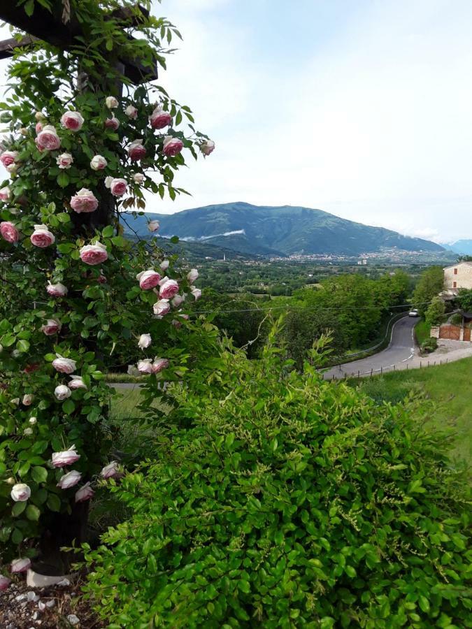 Locanda Bellavista Cavaso Del Tomba Екстер'єр фото